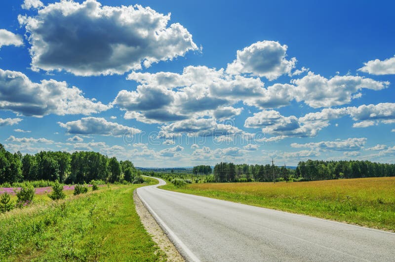 Winding road in the fields