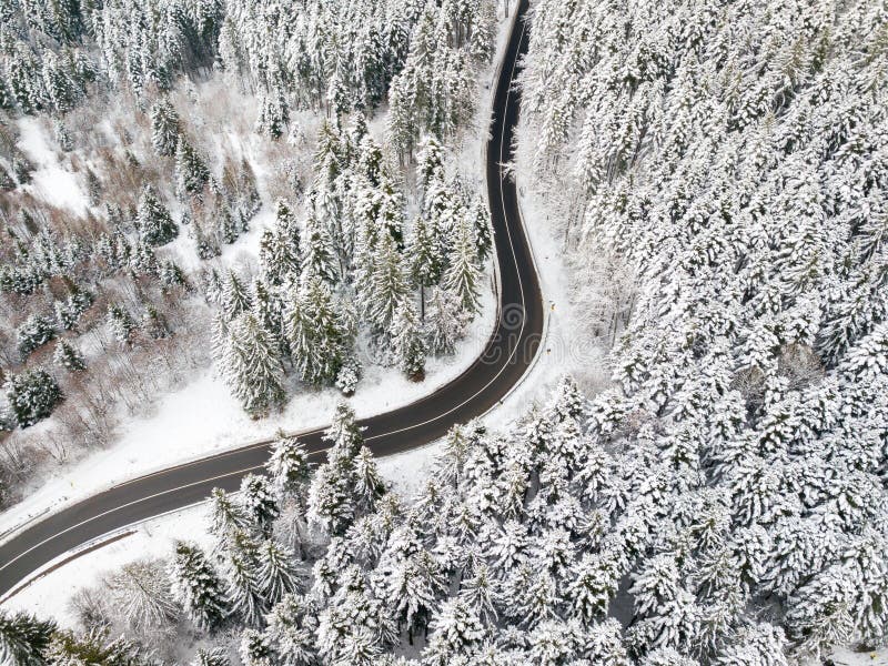 Winding road through the forest, from high mountain pass, winter. Aerial view by drone