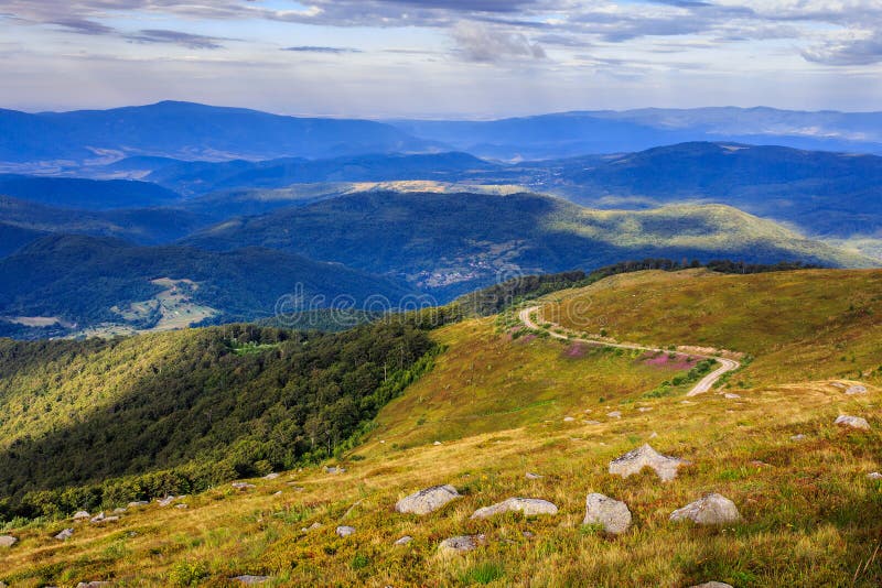 Winding road on a hillside near the forest