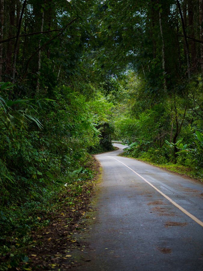 Winding Road with Nature Tree Stock Photo - Image of curve, street ...