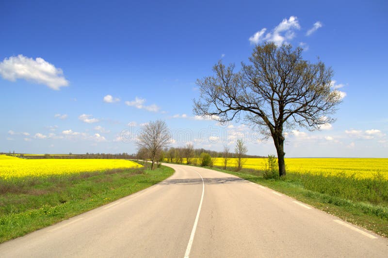 Winding road in vivid spring scenery