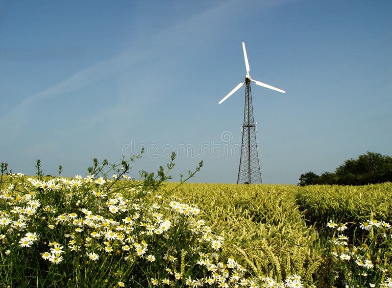 windmill