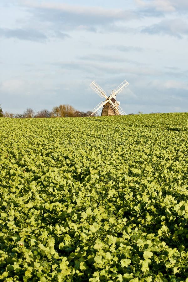 Windmill royalty free stock photography