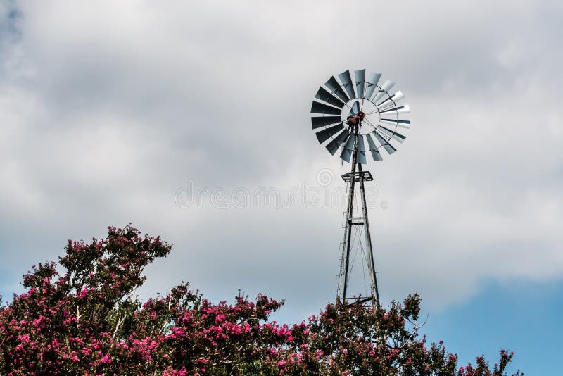 Windmill on Farm with flowering trees