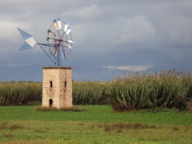 Windmill on the field
