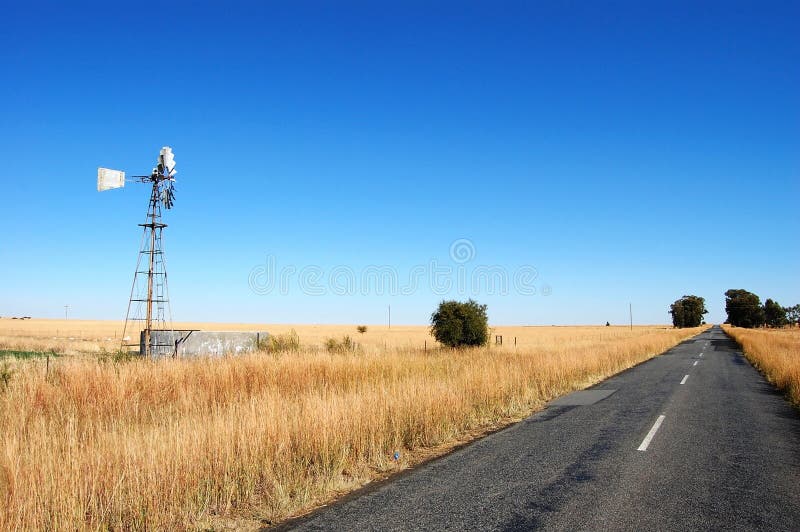 Windmill in Field, South Africa