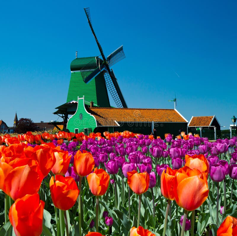 Foto větrný mlýn v Holandsku s modrou oblohou.