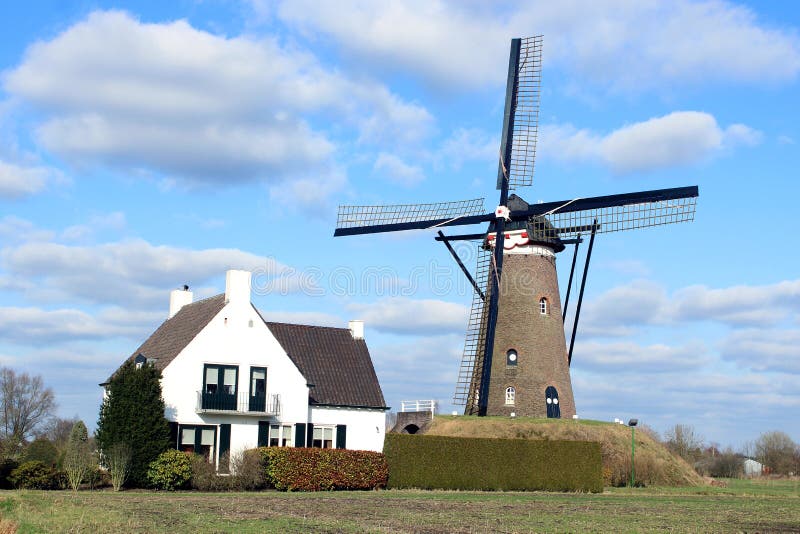 Windmill in the Netherlands Stock Image Image of europe, grass 23985557