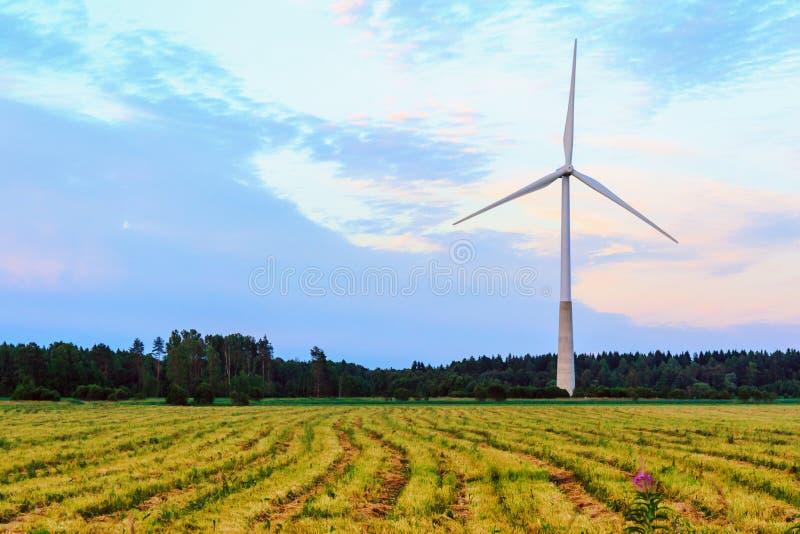 Windmill on rural field in the sunset. Wind turbines farm. Texas wind energy turbines stock images, royalty-free photos and pictures