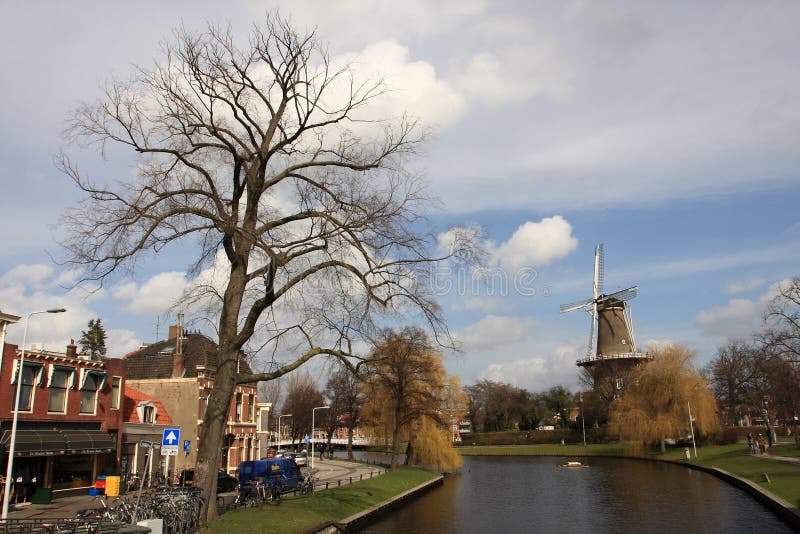 Windmill in spring