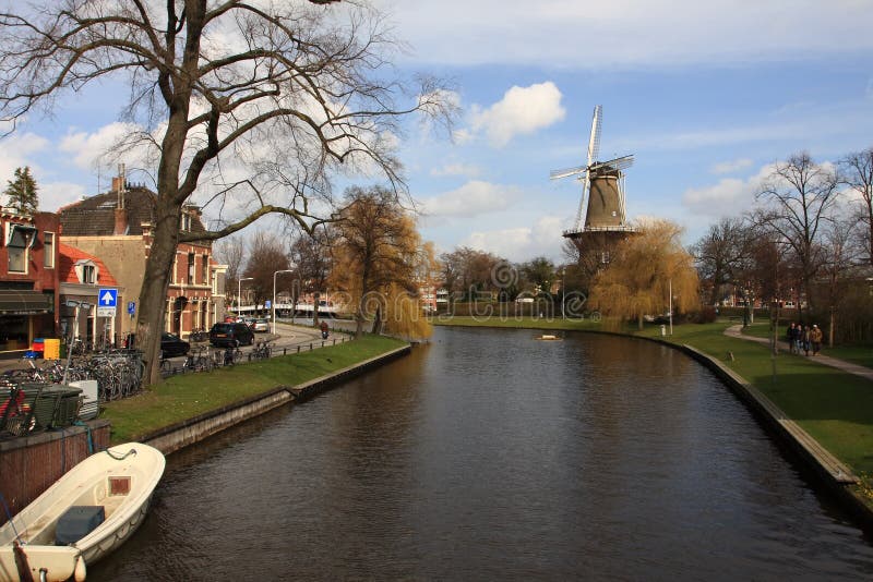 Windmill in spring