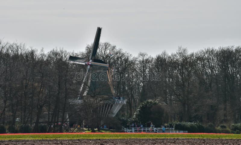 Windmill in spring in the Netherlands near Keukenhof stock image Windmill in spring in the Netherlands near Keukenhof stock image