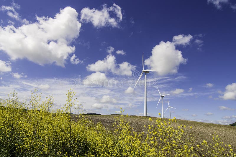 Windmühlen mit gelben Blumen lizenzfreies stockfoto Windmühlen mit gelben Blumen lizenzfreies stockfoto