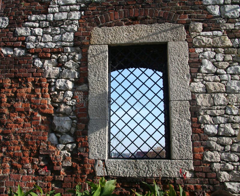 Window