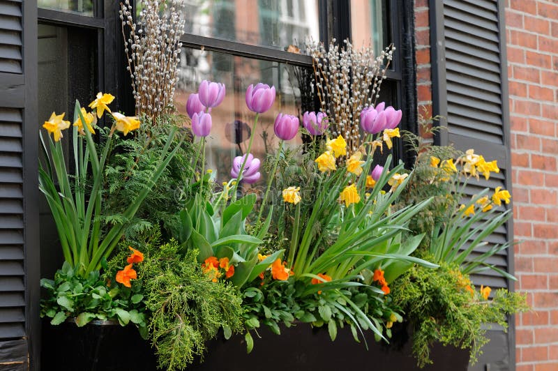 Window Box Flower Arrangement