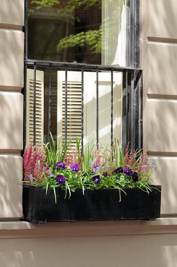 Window box with heather flowers and pansies