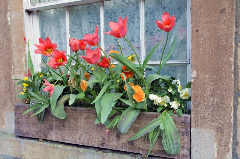 Window Flower Box