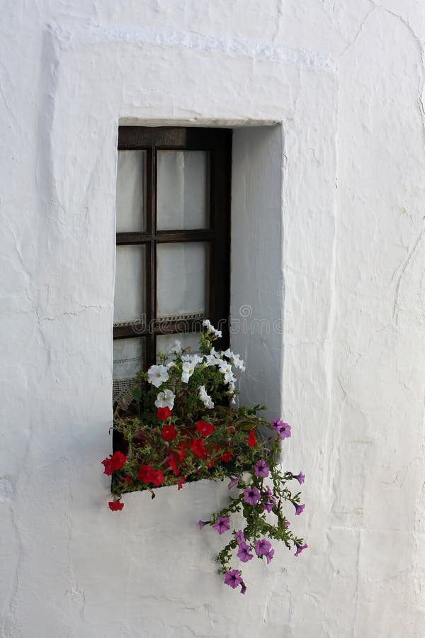 Window with flowers