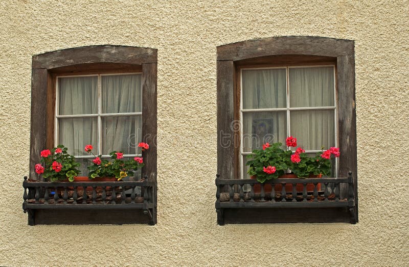 Window and flowers