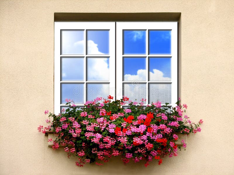 Window with flowers