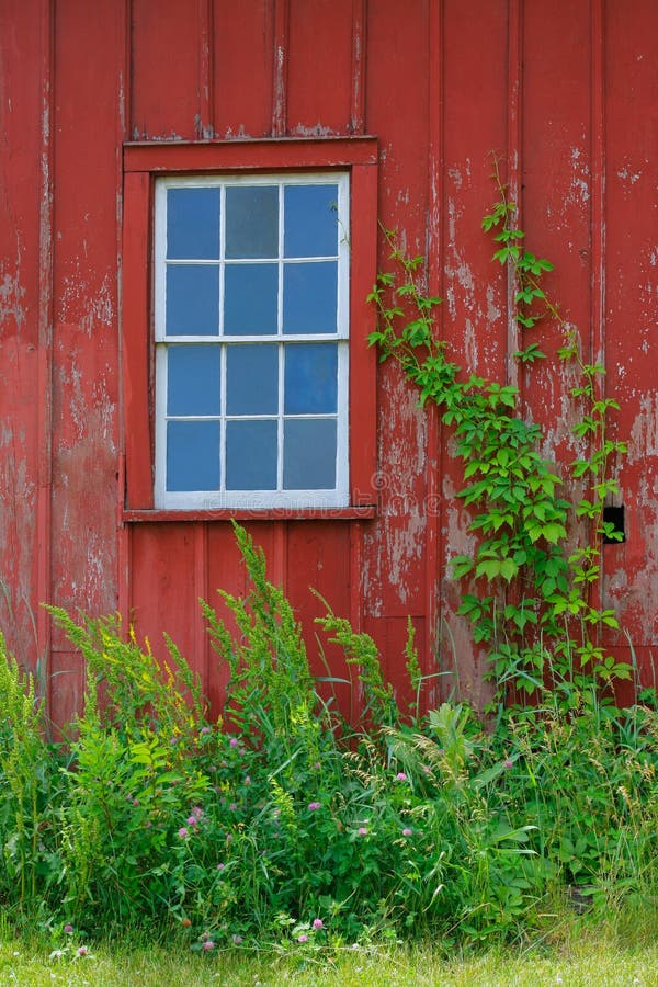 Window of Old Bard House