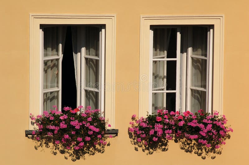 Windows com flores foto de stock Windows com flores foto de stock