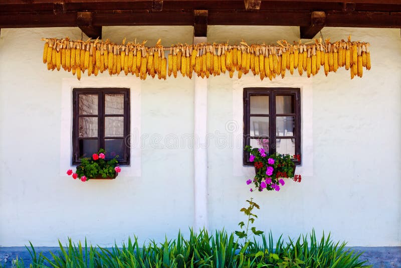 Windows e milho seco fotos de stock royalty free Windows e milho seco fotos de stock royalty free