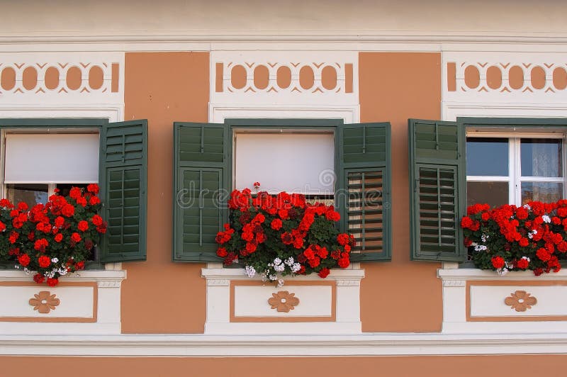 Windows and flowers stock photo. Image of flower, window 2214008