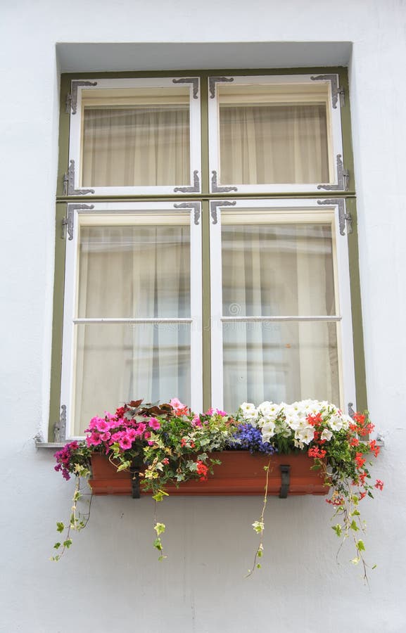 Windows with flowers stock photo. Image of clear, access 26093042