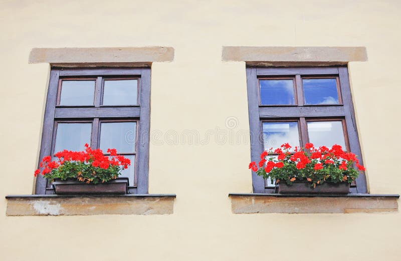 Windows with flowers on historic house