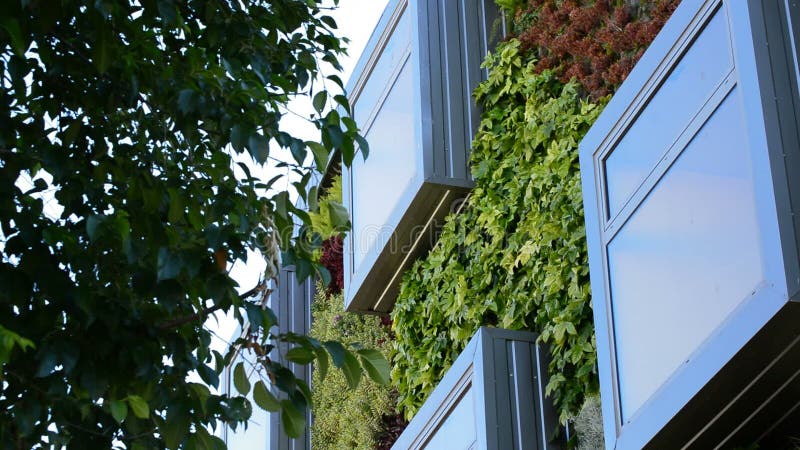 Window in modern green building, nature conceptWindows in modern building with vertical gardens