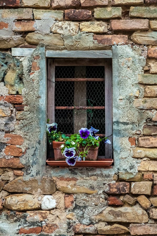 Windowsill flowers stock photo. Image of wall, design 71768018
