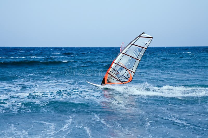 Windsurfer