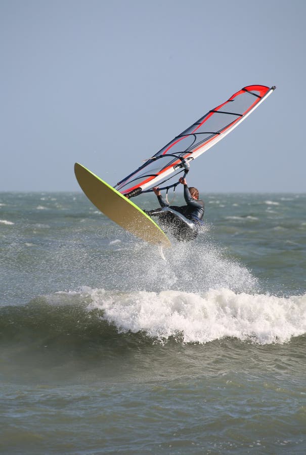 Windsurfer