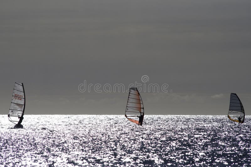 Ocean windsurfing