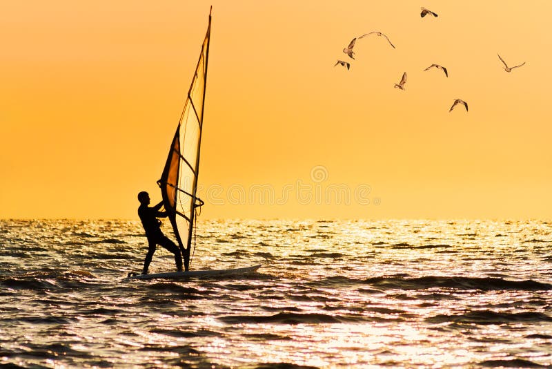 Windsurfing on orange sunset`s background