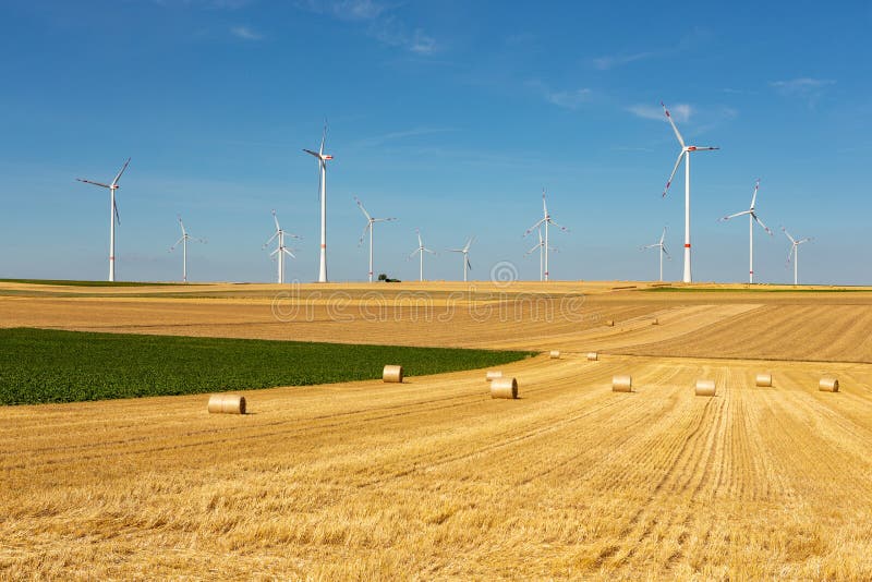 Windturbines in a yellow and green farmland landscape