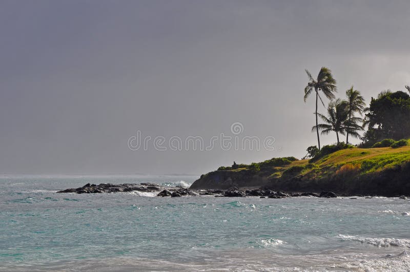 Windy Hawaiin Stock Photos Free & RoyaltyFree Stock Photos from