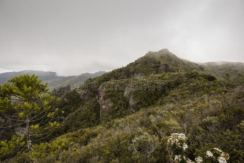 Windy Ridge, Gt. Barrier Island, NZ Stock Image Image of cloud