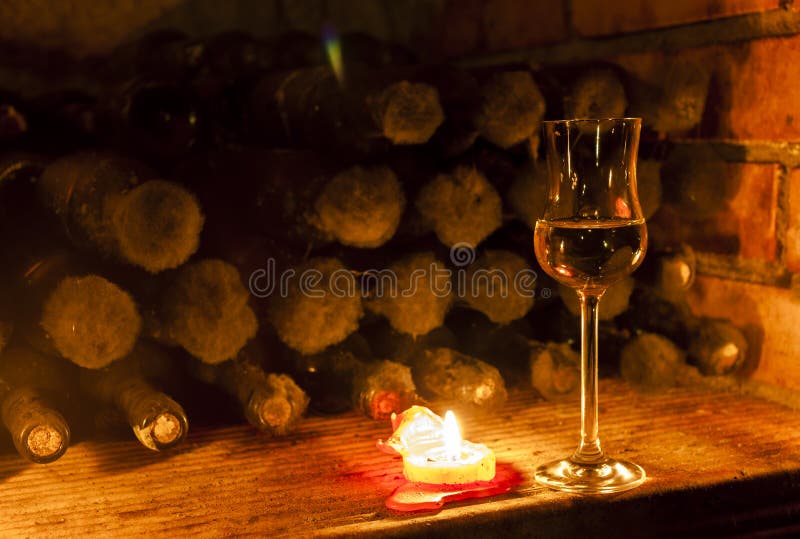 wine archive in wine cellar, Czech Republic