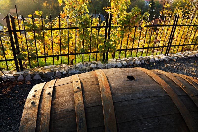 Wine barrel