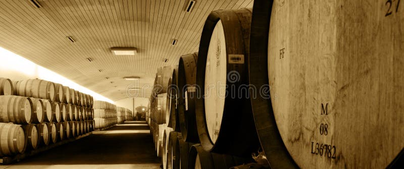 Download Wine Barrels stock image. Image of wine, storage, interior - 13283343
