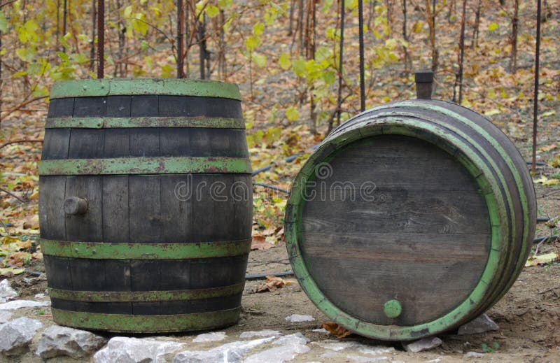 Wine barrels