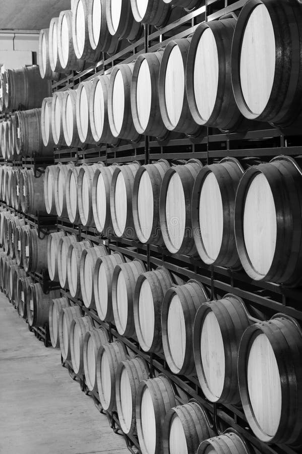 Wine Barrels In An Aging Cellar Stock Photo Image of agriculture