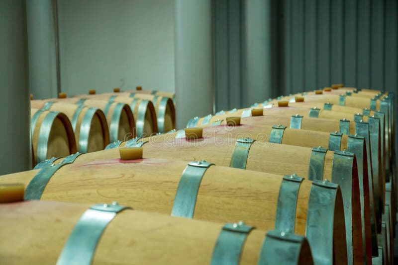 Wine barrels stock photo. Image of cork, wooden, table 208072990