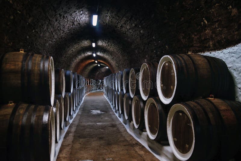 Wine Barrels in the Basement Stock Image Image of alcohol, cellar