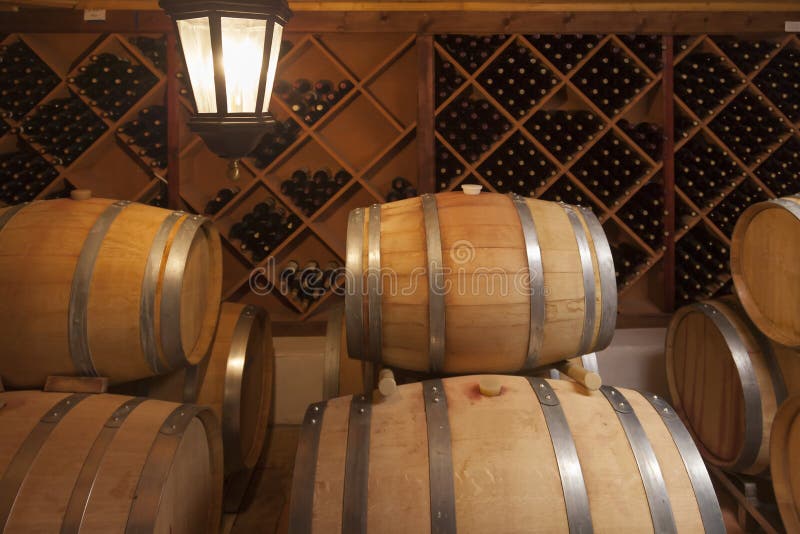 Wine Barrels and Bottles in Cellar Stock Photo Image of drink