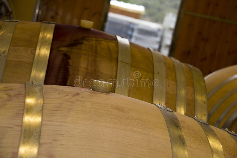 Wine barrels with bung stacked in cellar area of vinery