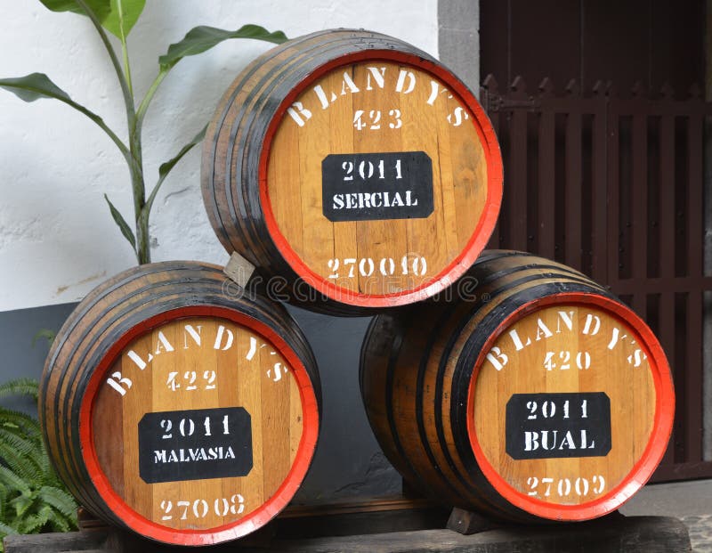 Wine barrels in Funchal, Madeira, Portugal stock image Wine barrels in Funchal, Madeira, Portugal stock image