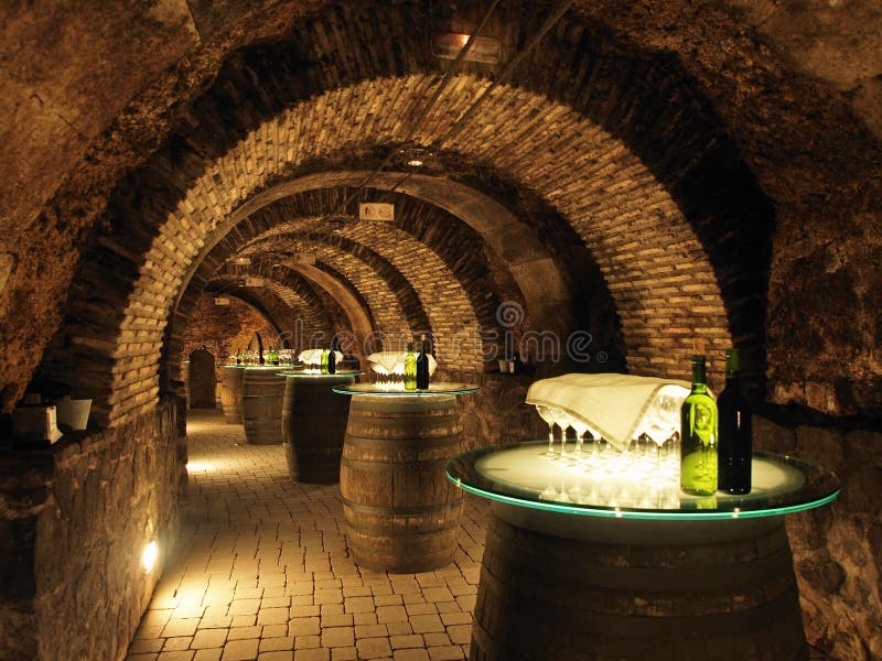 Wine barrels in the old cellar